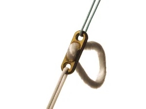 ligamente incrucisate